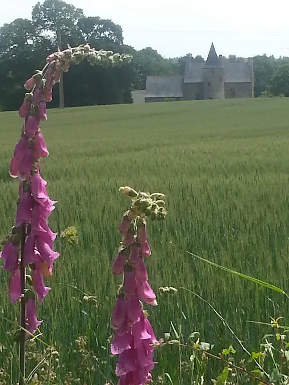 Manoir De La Branche Bed and Breakfast Maen Roch 4*,