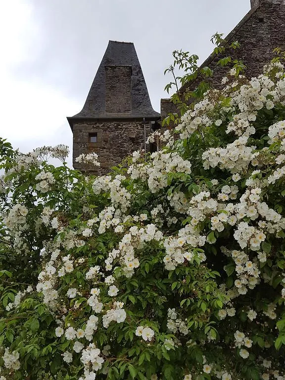 Bed & Breakfast Manoir De La Branche Bed and Breakfast Maen Roch