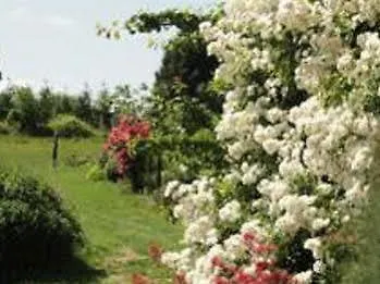 Manoir De La Branche Bed and Breakfast Maen Roch Frankrijk
